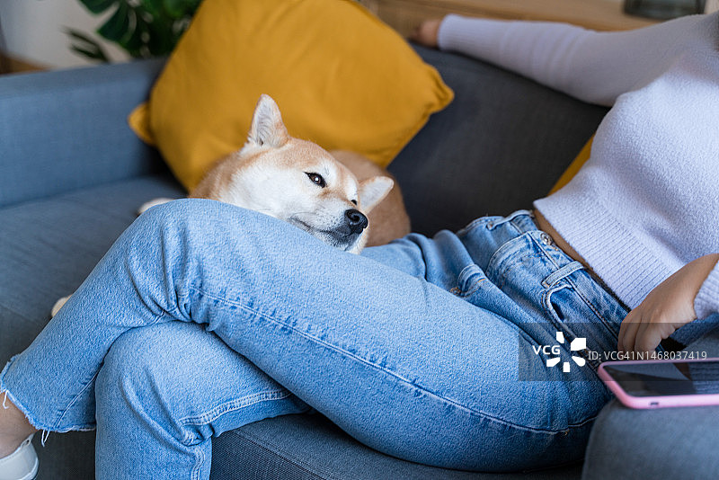 快乐的女人和狗在听音乐图片素材