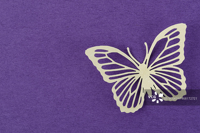 蓝色纸背景上的白色蝴蝶，带有设计文案空间图片素材