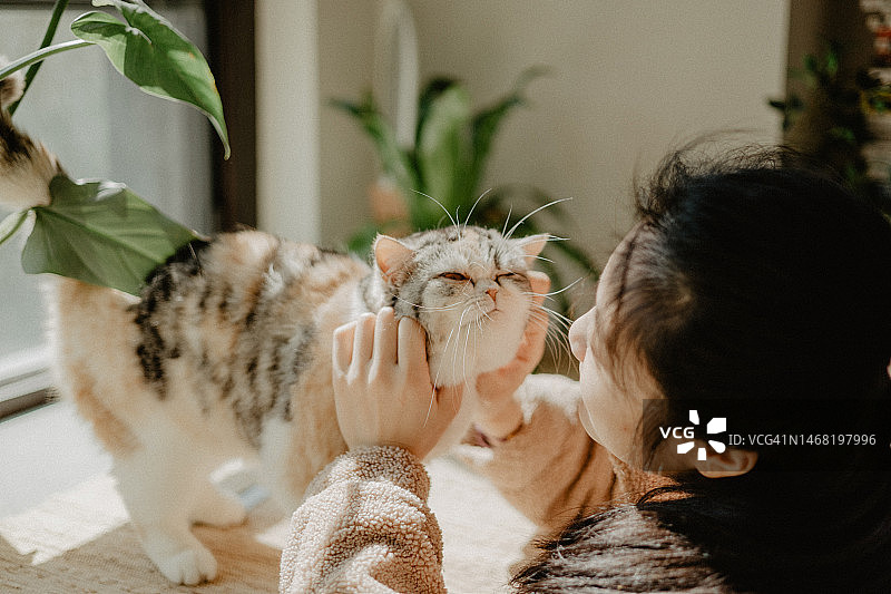 抚摸猫的亚洲女人图片素材