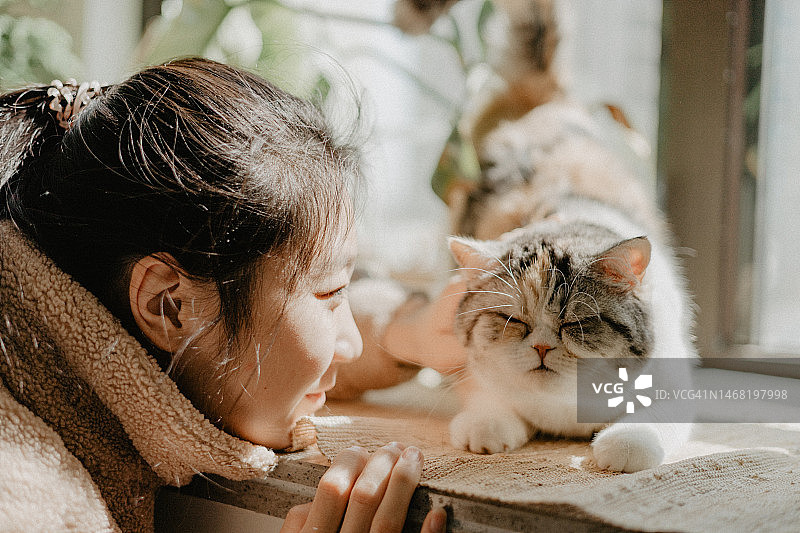 抚摸猫的亚洲女人图片素材