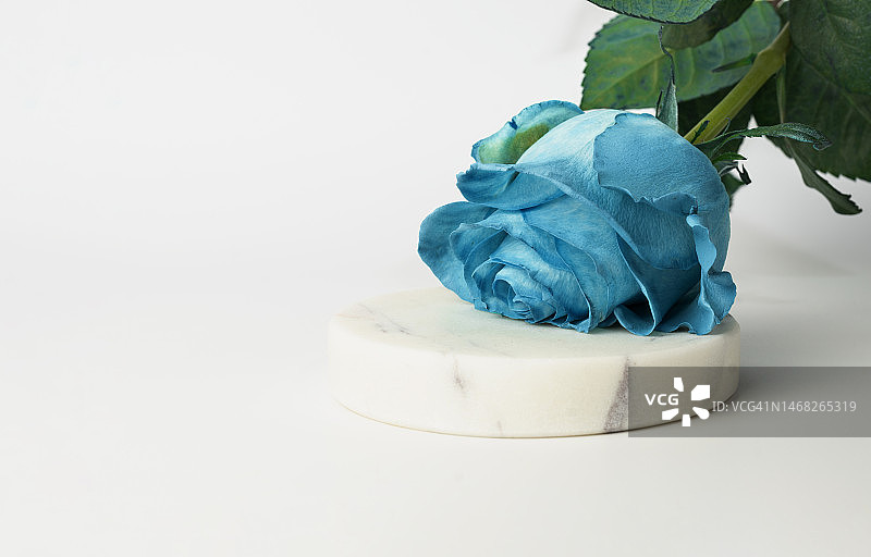 大理石背景上的蓝色玫瑰图片素材