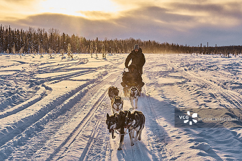 黎明时分，雪橇犬队拉着雪橇和驾驶员图片素材
