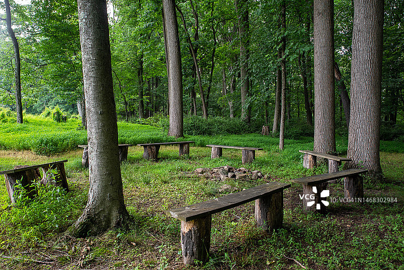 田园诗般的林地篝火炉周围的乡村风空长椅图片素材