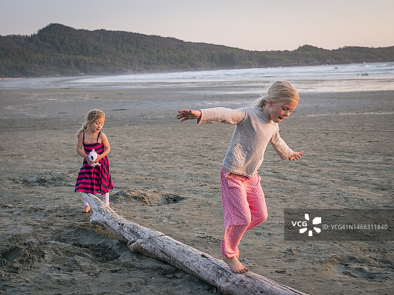 夏季海滩度假家庭时光：海岸原木嬉戏图片素材