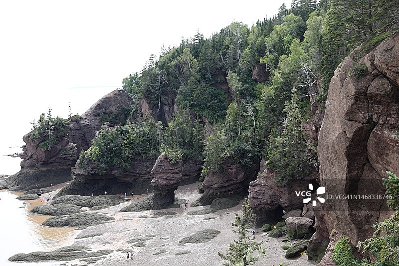 低潮时期的霍普威尔岩省立公园图片素材