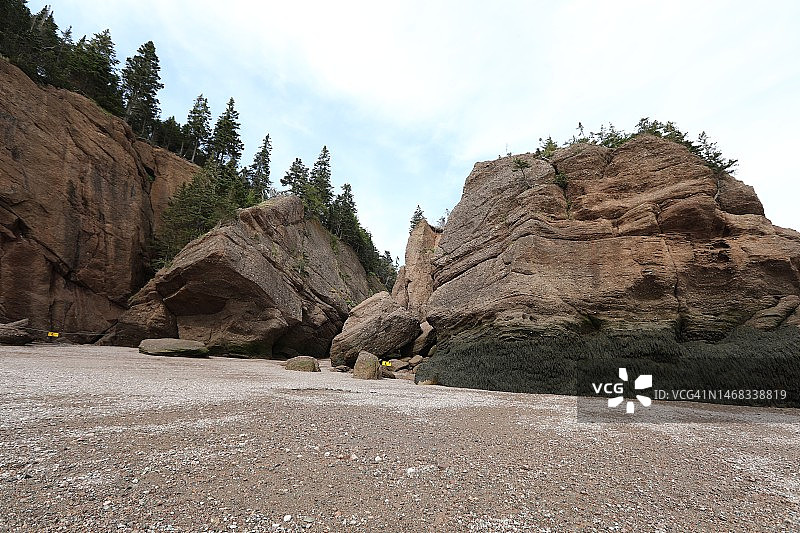 低潮时期的霍普威尔岩省立公园图片素材