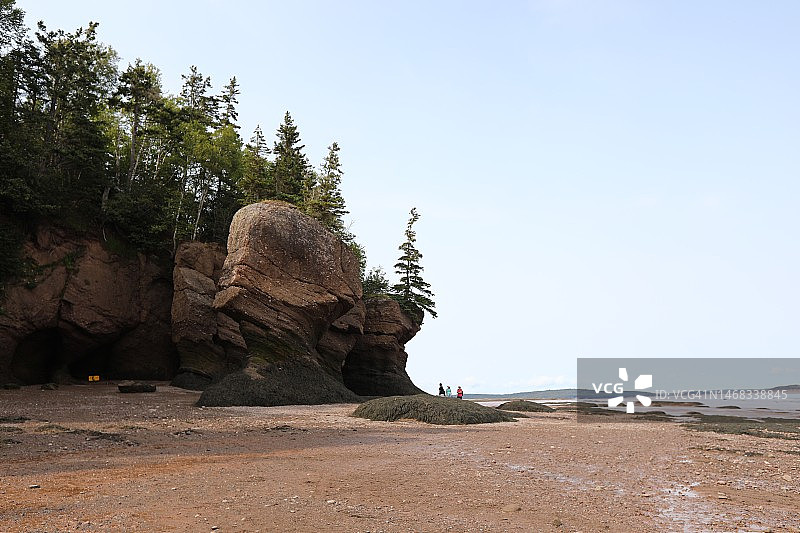 低潮时期的霍普威尔岩省立公园图片素材