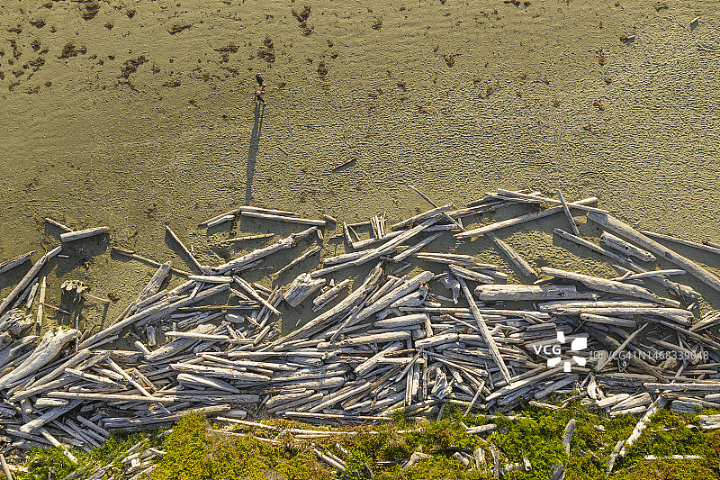 一对情侣沿着考克斯湾海滩走，附近有一些冲上来的原木图片素材
