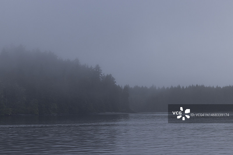 不列颠哥伦比亚托菲诺太平洋沿岸雨天的雾气森林图片素材