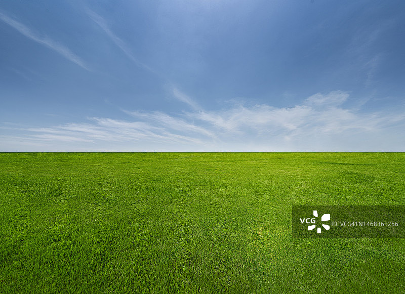 绿色草原和蓝色天空图片素材