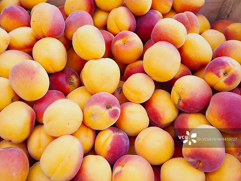 托盘里的白桃图片素材