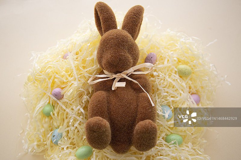 复活节兔子图片素材