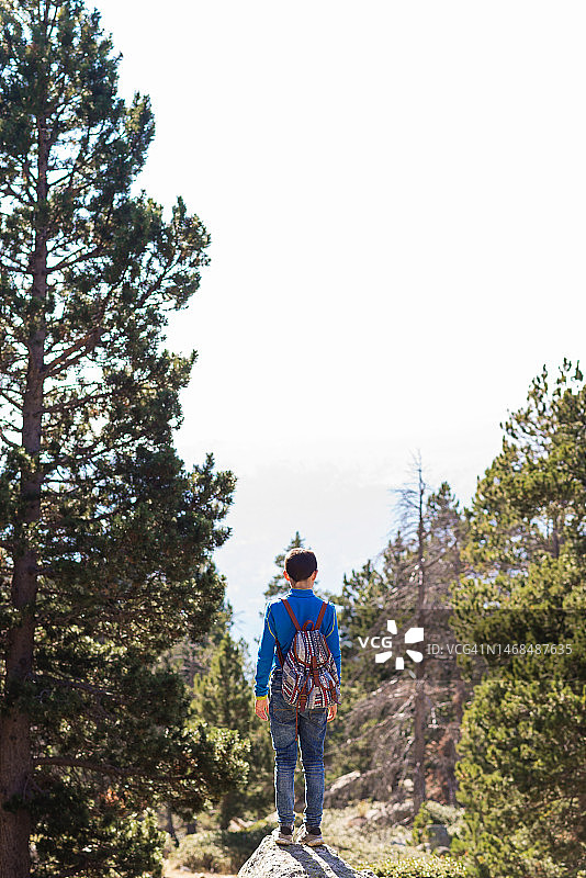 站在树干上观看山林景色的男孩背影图片素材