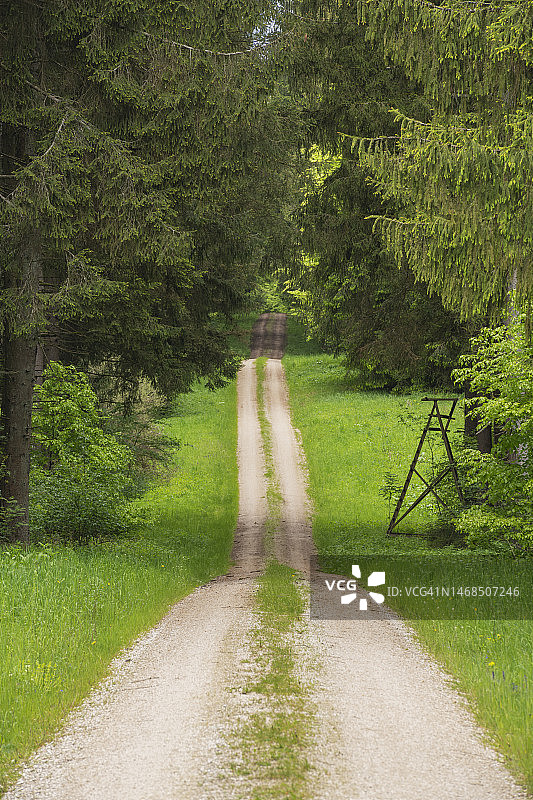 穿过绿色森林的土路：德国巴伐利亚州上巴伐利亚图片素材