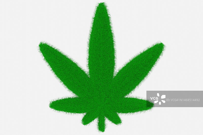 毛茸茸的绿色大麻叶图片素材