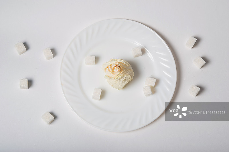 白色背景上盘中甜点的俯视图，俄罗斯图片素材