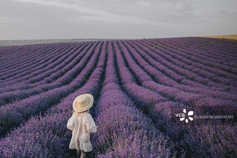 快乐的女孩戴着草帽，穿着白色连衣裙，在法国薰衣草田中享受花香图片素材
