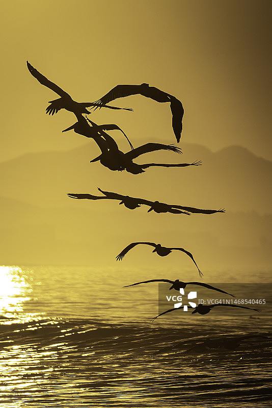 日落时分，加利福尼亚州圣地亚哥海边的人们剪影图片素材