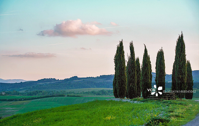 意大利锡耶纳省田野树木全景照片图片素材