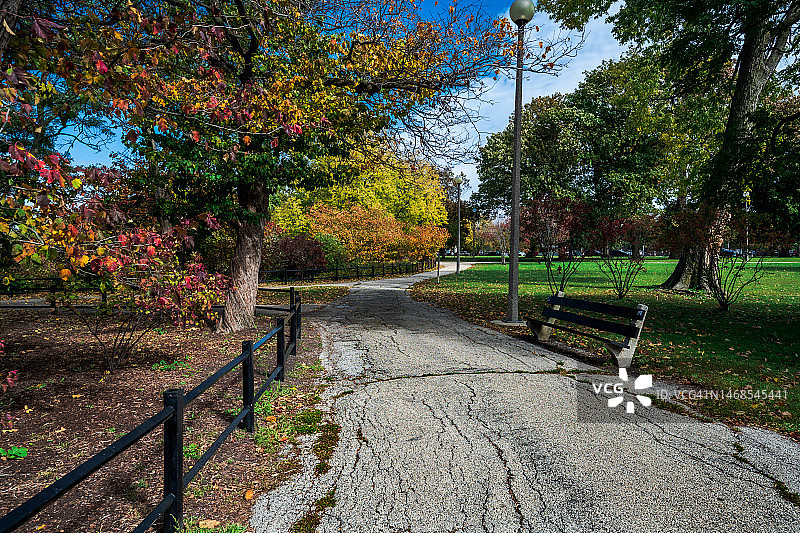 美国洪堡公园树林中的空旷小路图片素材