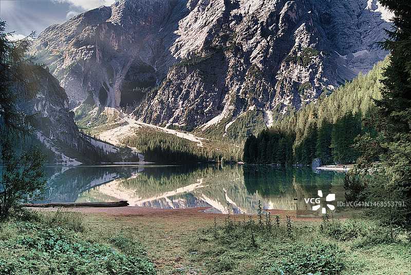 意大利特伦托湖畔树木风光图片素材