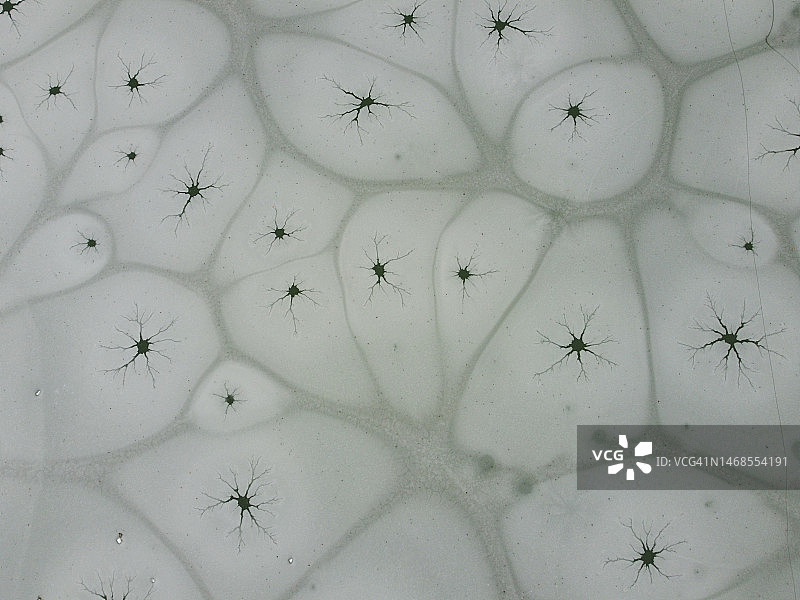 图案墙的全画幅照片图片素材