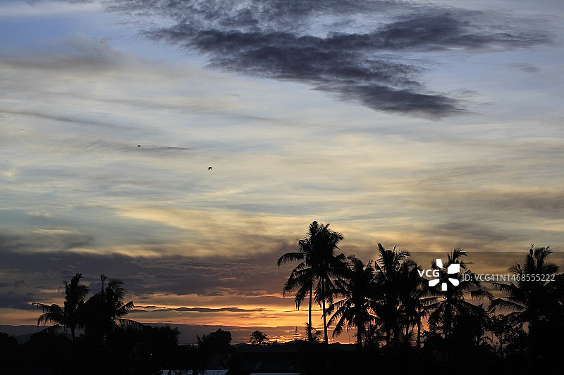 日落时分天空下的棕榈树轮廓图片素材