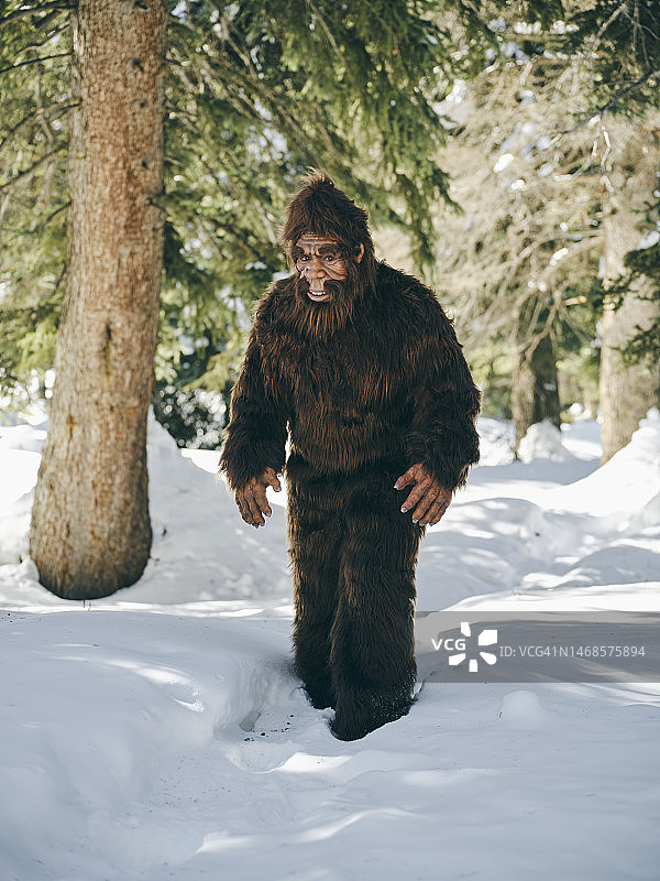 冬季森林中的大脚野人图片素材