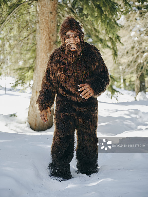 冬季森林中的大脚野人图片素材