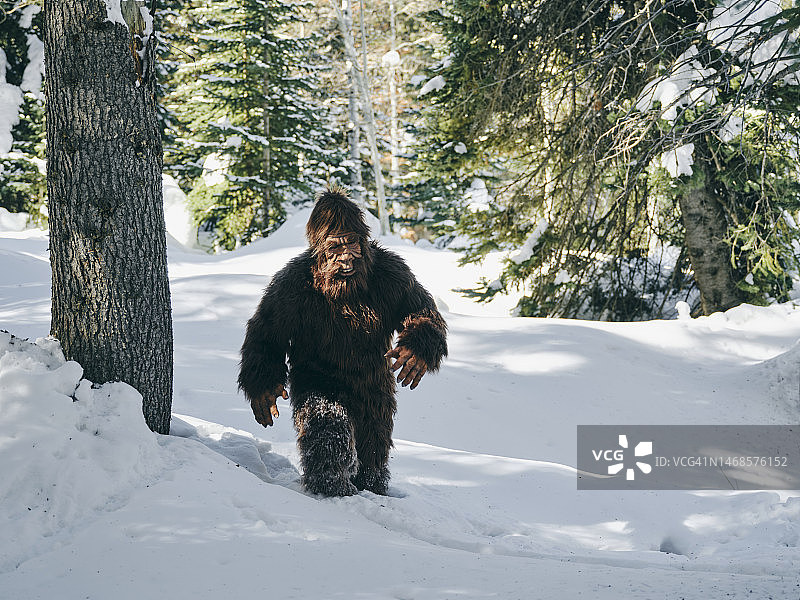 冬季森林中的大脚野人图片素材