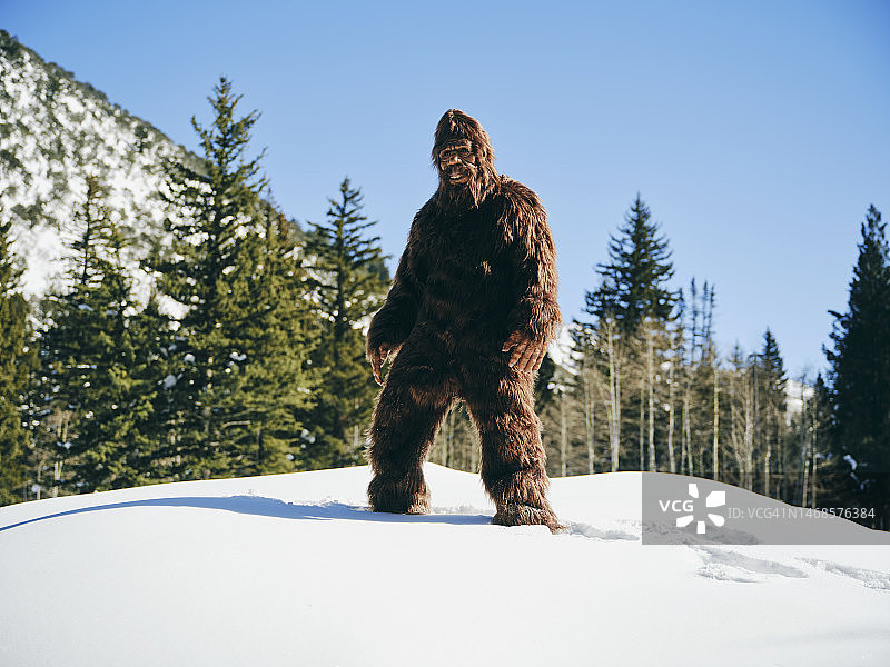 冬季森林中的大脚野人图片素材