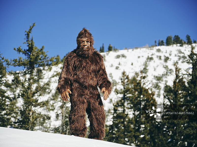 冬季森林中的大脚野人图片素材