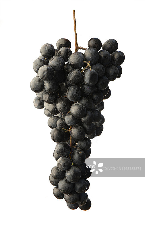 一串葡萄图片素材