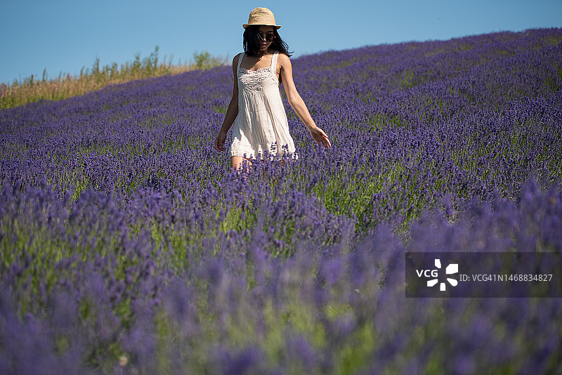 一位亚洲女性在苏格兰春天阳光明媚的薰衣草田中奔跑，身穿白色连衣裙，头戴草帽图片素材