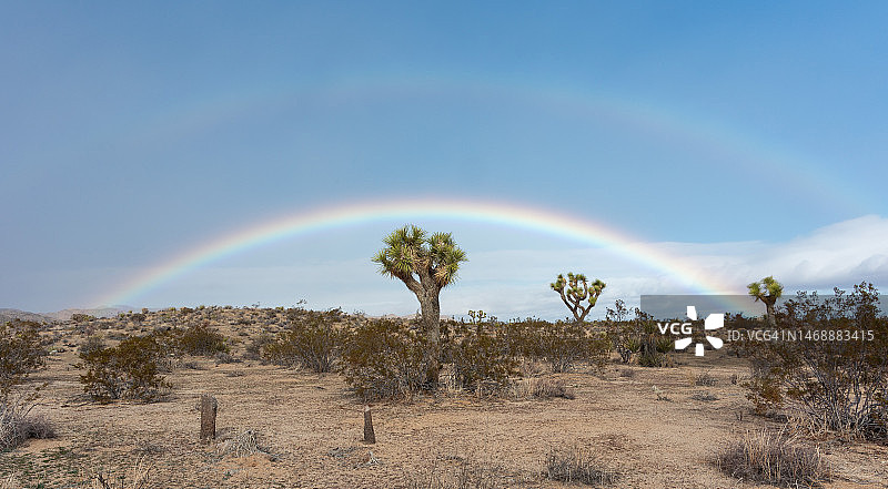 约书亚树国家公园的罕见彩虹图片素材