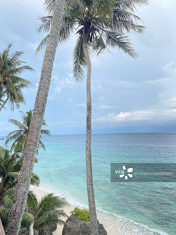印度尼西亚亚齐萨邦市海滩棕榈树美景图片素材