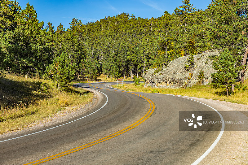 美国南达科他州卡斯特树木中的空旷道路图片素材