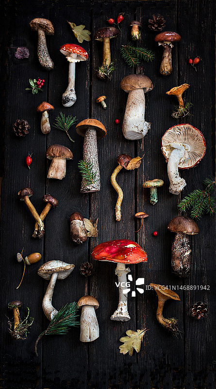 挪威的桌上蘑菇俯视图图片素材