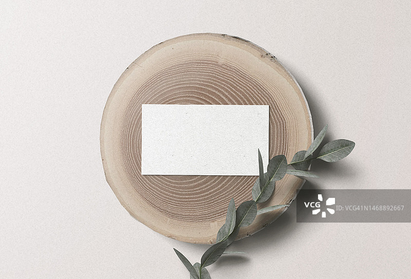 俯视视角拍摄的带有帽子的帽子和叶子，背景为白色，阿曼图片素材