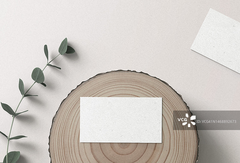 俯视视角下，桌上的空白纸张和树叶，阿曼图片素材