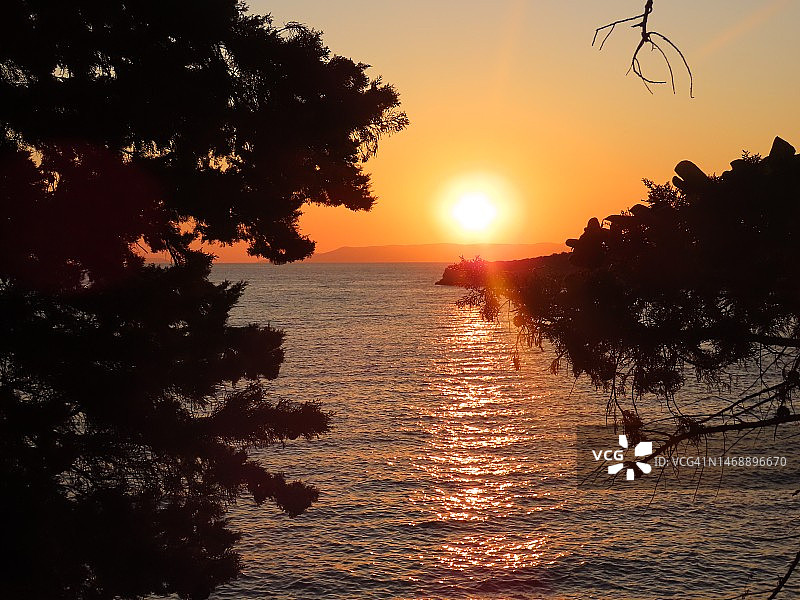 希腊卡达麦利，日落时海边树木的剪影图片素材