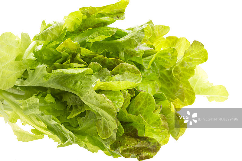 罗马尼亚瓦斯卢伊：白色背景下的生菜特写图片素材