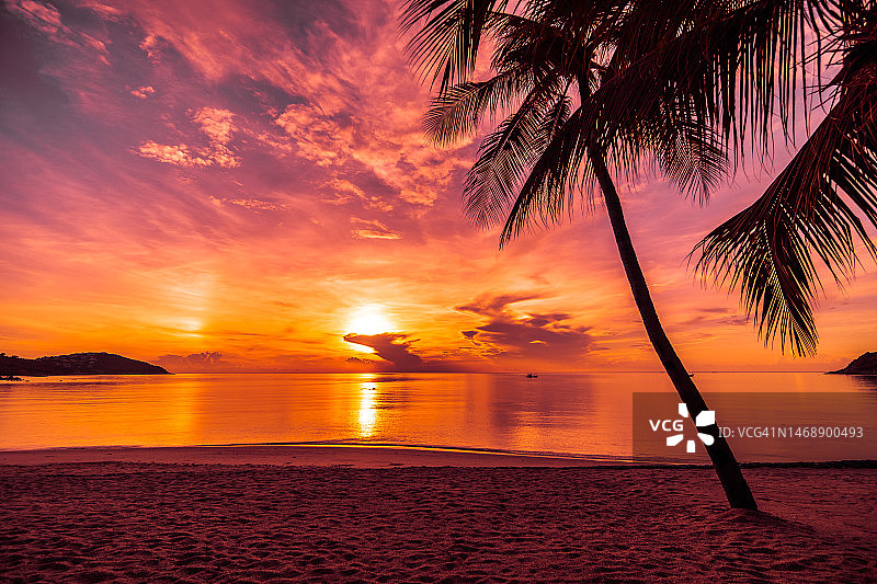 印度尼西亚热带海滩日落椰子树图片素材