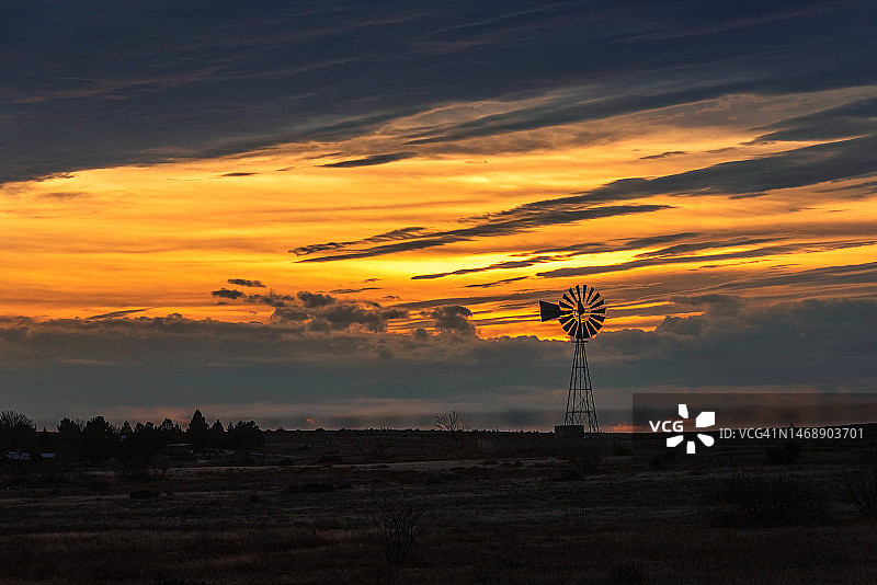 日落时分，田野上树木的剪影图片素材