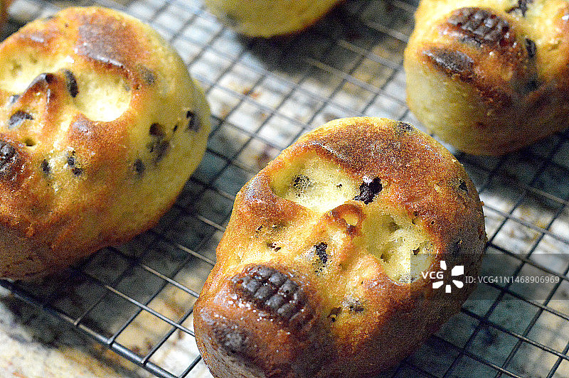 万圣节骷髅蛋糕图片素材