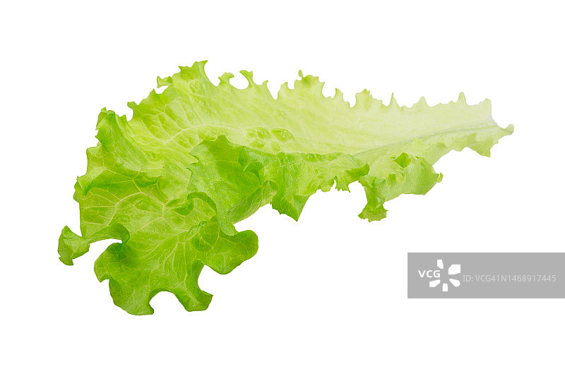 罗马尼亚瓦斯卢伊：白色背景下的生菜特写图片素材