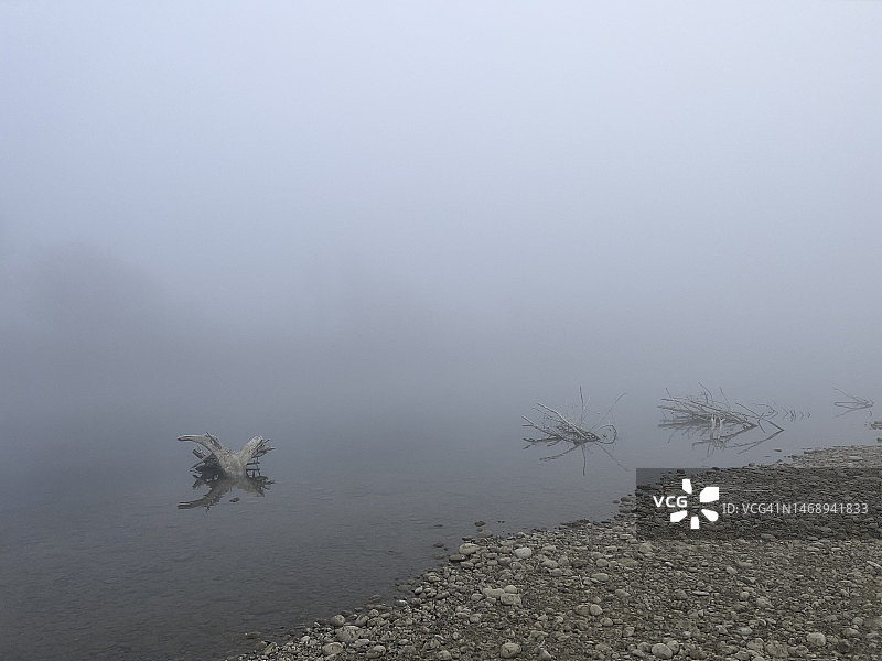 阿勒河上的雾中浮木图片素材