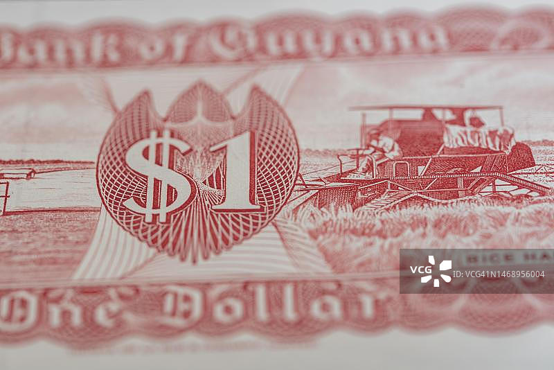 圭亚那一美元纸币，南美洲国家图片素材