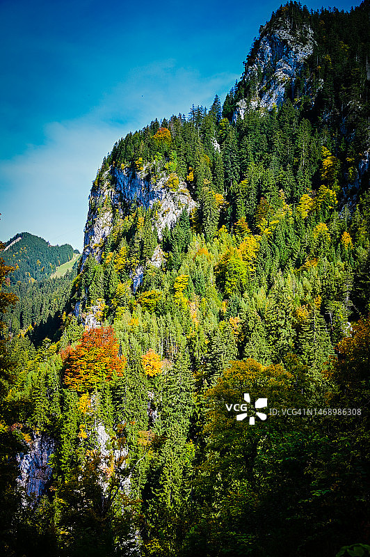 秋季的阿默高阿尔卑斯山，德国施万高图片素材