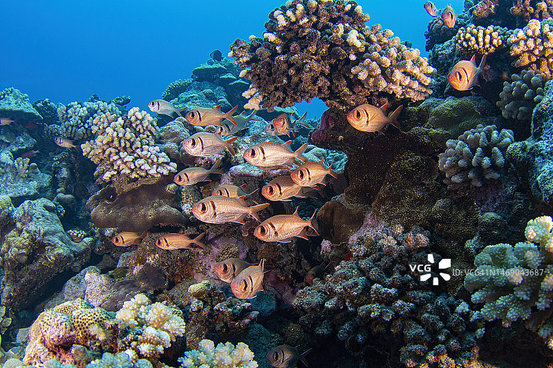 2022年10月6日塔希提岛礁石图片素材